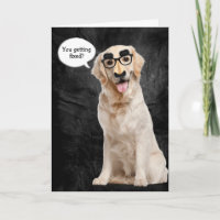 Golden Retriever avec masque drôle pour la vasecto