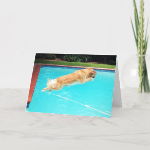 Carte Golden Retriever Birthday