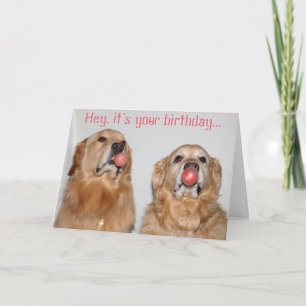 Carte Golden Retriever Bubblegum Anniversaire