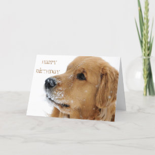 Carte Golden Retriever Chien