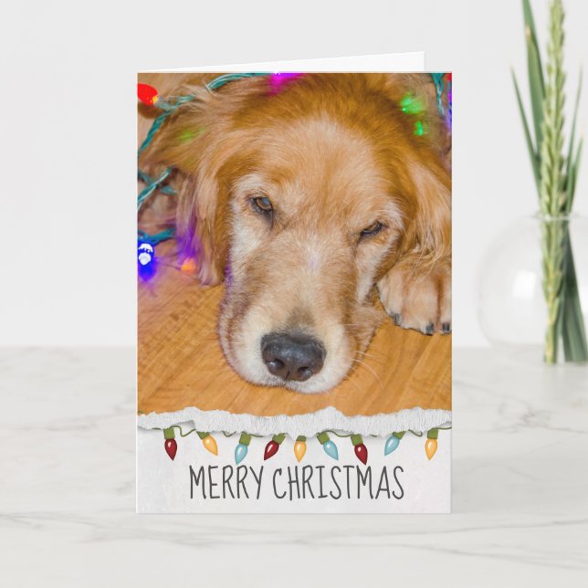 Carte Golden Retriever chien aux lumières de Noël (Devant)