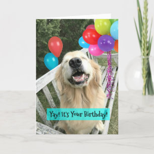Carte Golden Retriever Chien avec Ballons Anniversaire