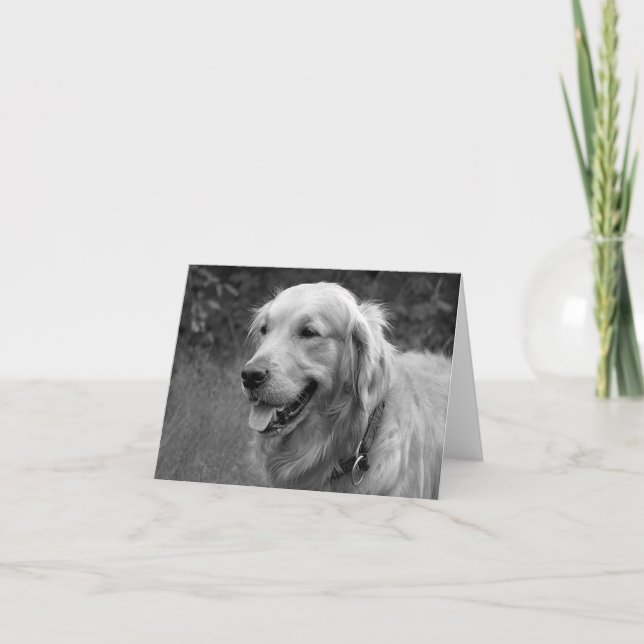 Carte Golden Retriever Chien Chien Chien Chien Chien Bla (Devant)