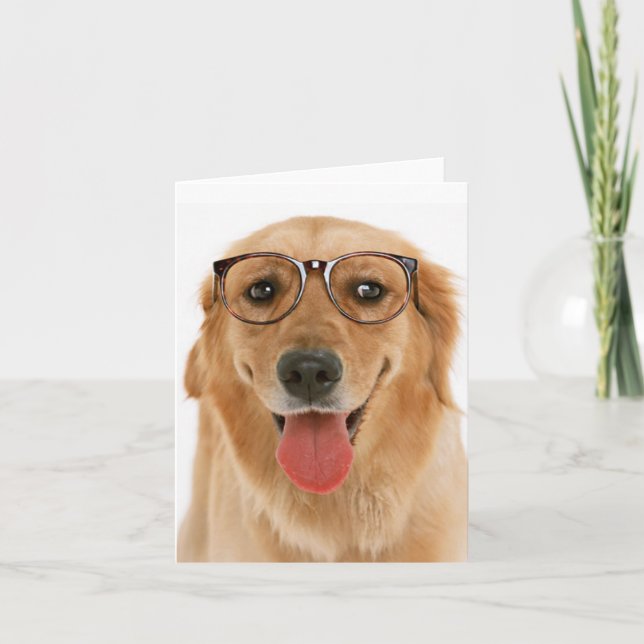 Carte Golden Retriever Chien Chien Chien Chien Chien Bla (Devant)