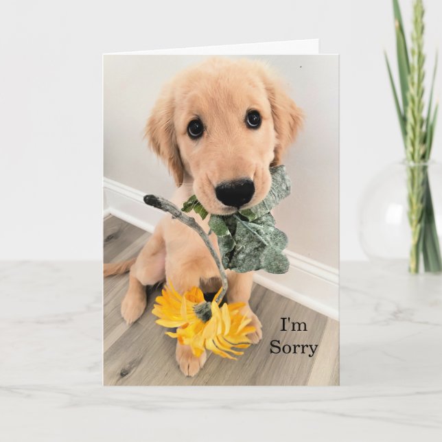 Carte Golden Retriever Chien Chien Chien Chien Je suis d (Devant)