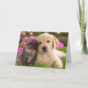 Carte Golden Retriever Chien Chien Chien et Kitten Aimer