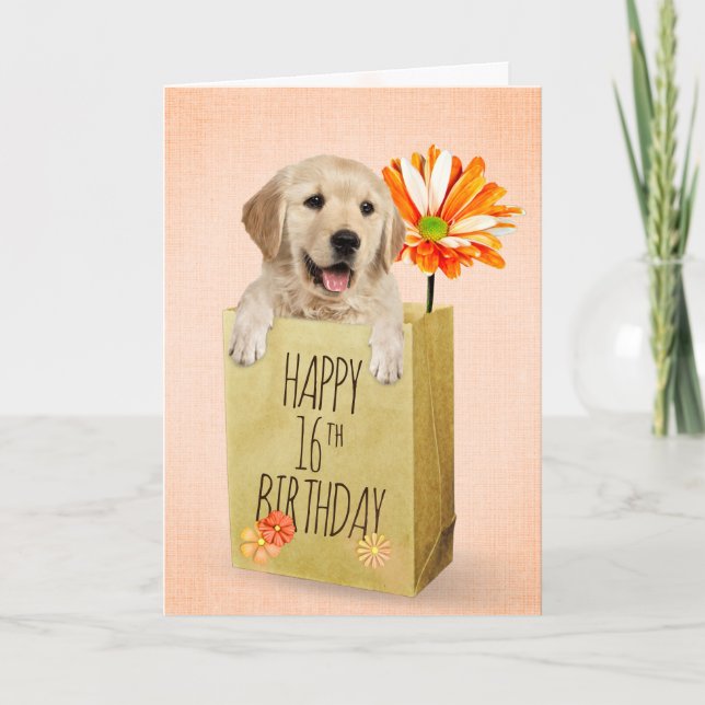 Carte Golden Retriever dans le sac d'anniversaire 16e (Devant)