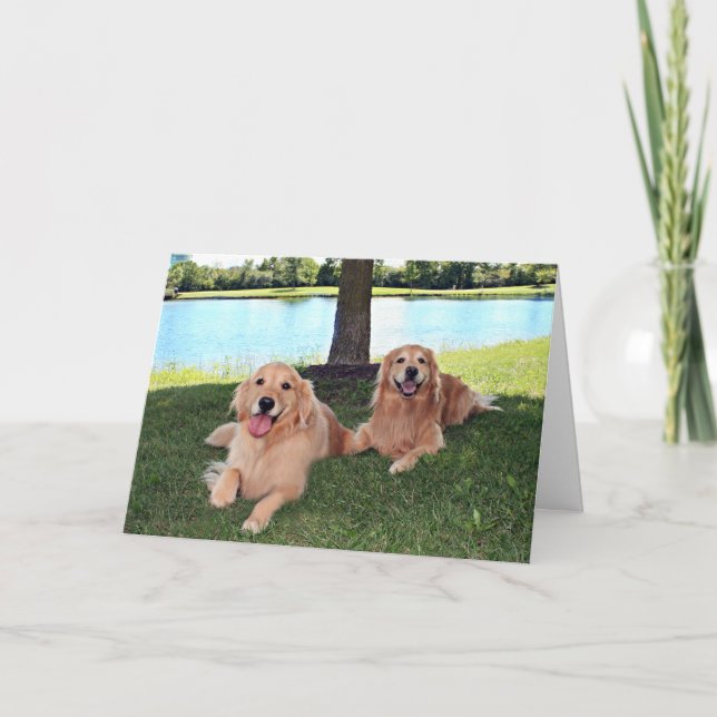 Carte Golden Retriever Dogs in Park ont un jour heureux (Devant)