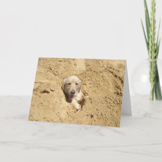 Carte Golden retriever drôle (Devant)