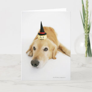 Carte Golden retriever et ornement