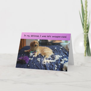 Carte Golden Retriever fait un malin drôle d'anniversair