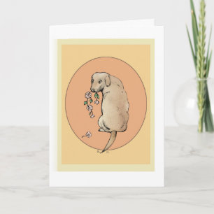 Carte Golden Retriever 'Happy Birthday'