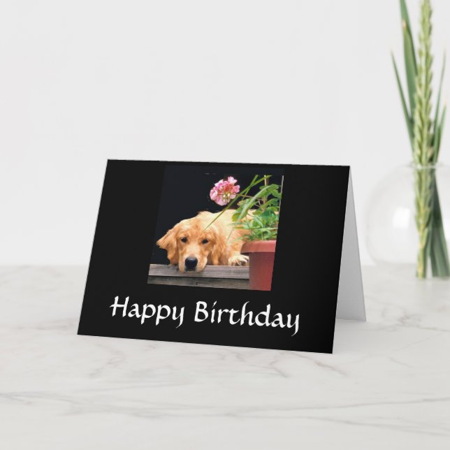 Carte Golden Retriever Happy Birthday Card (Devant)