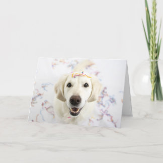 Carte Golden Retriever Happy Birthday Greeting Card
