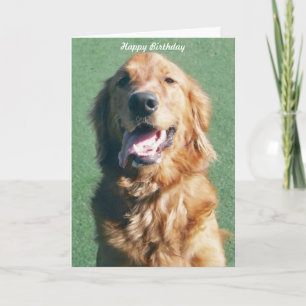 Carte Golden Retriever Happy Birthday Greeting Card