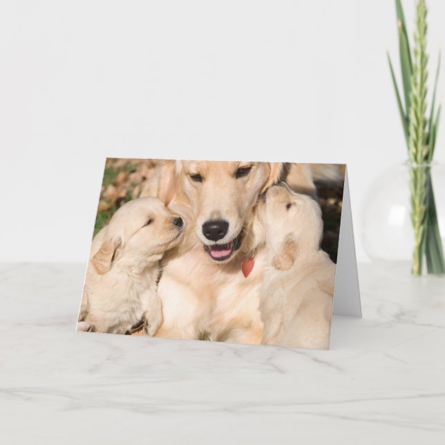 Carte Golden Retriever Happy Mother's Day Card (Devant)
