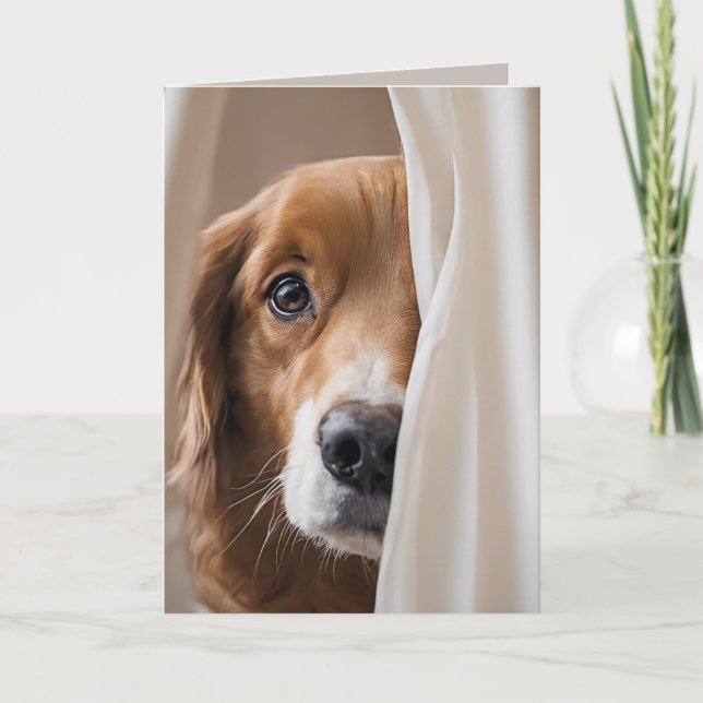 Carte Golden Retriever Humour d'anniversaire (Devant)