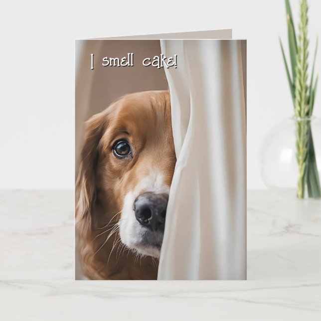 Carte Golden Retriever Humour d'anniversaire (Devant)