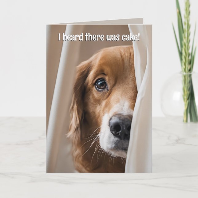 Carte Golden Retriever Humour d'anniversaire (Devant)