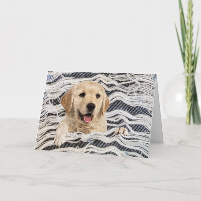 Carte Golden Retriever In Frame (Devant)