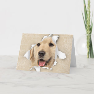 Carte Golden Retriever in Paper Hotte Hello