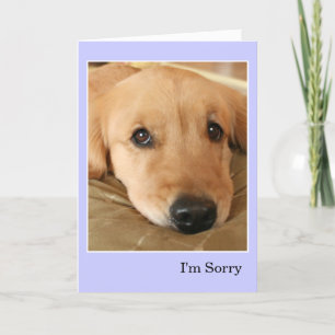 Carte Golden Retriever Je suis désolé