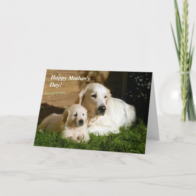 Carte Golden Retriever Mère's Day Maman et Puppy Card (Devant)