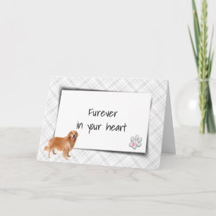 Carte Golden Retriever On Plaid Pet Perdre Sympathie