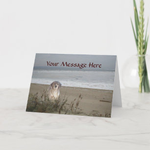 Carte Golden Retriever On The Beach Greeting Card