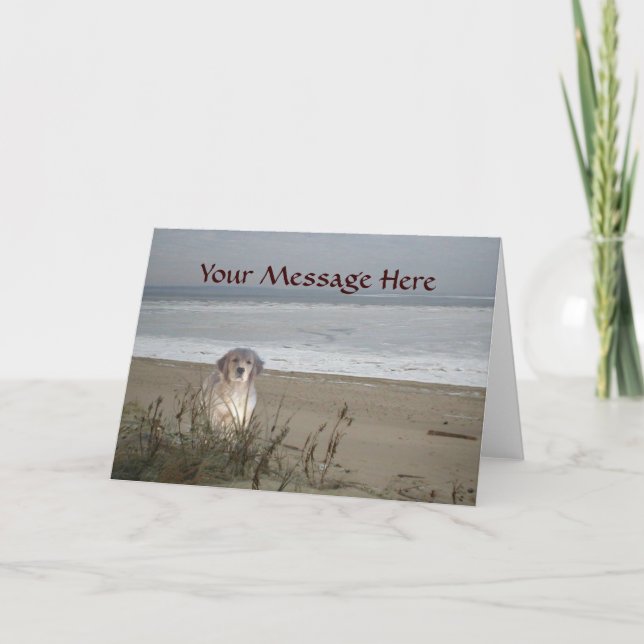 Carte Golden Retriever On The Beach Greeting Card (Devant)
