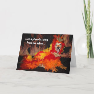 Carte Golden Retriever Phoenix Rising obtenir bien