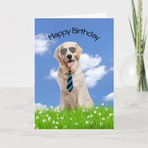 Carte Golden Retriever Pour Anniversaire
