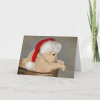 Golden Retriever Puppy Christmas