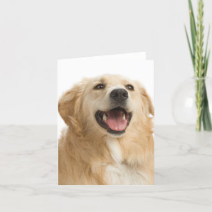 Carte Golden Retriever Puppy Dog Blank Greeting Notecard