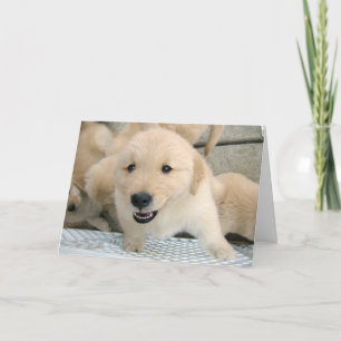 Carte Golden Retriever Puppy Therapy s'améliorer