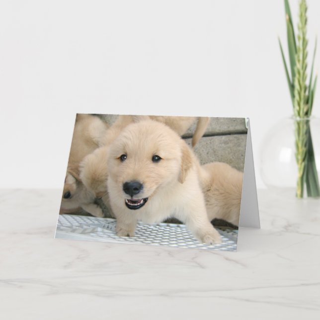 Carte Golden Retriever Puppy Therapy s'améliorer (Devant)