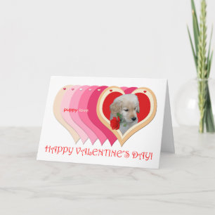 Carte Golden Retriever Puppy Valentine