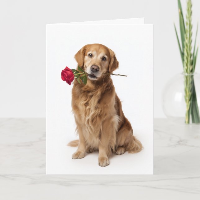Carte Golden Retriever Saint-Valentin (Devant)