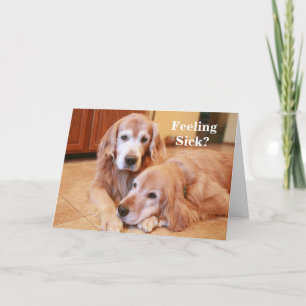 Carte Golden Retriever se sent malade obtenir bien