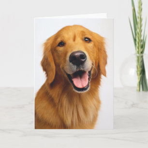Carte Golden Retriever Smile
