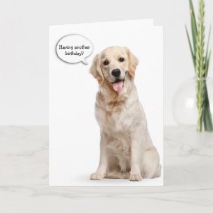 Carte Golden Retriever sur l'anniversaire blanc