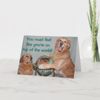 Golden retriever sur le toit du monde Congrats