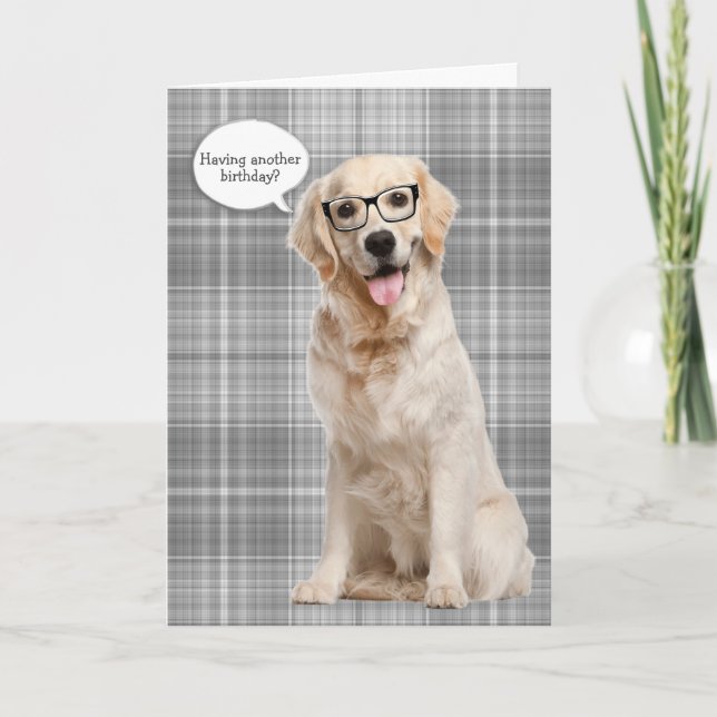 Carte Golden Retriever sur l'humour d'anniversaire plaid (Devant)
