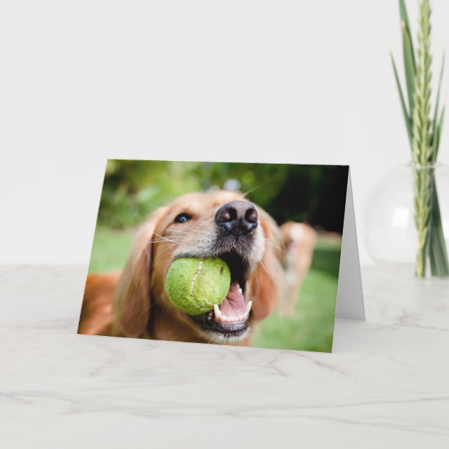 Carte Golden Retriever With Tennis (Devant)