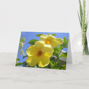 Carte Golden Trumpet