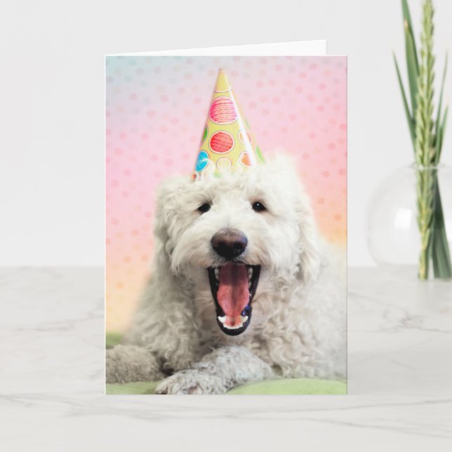 Carte Goldendoodle avec Casquette du parti (Devant)