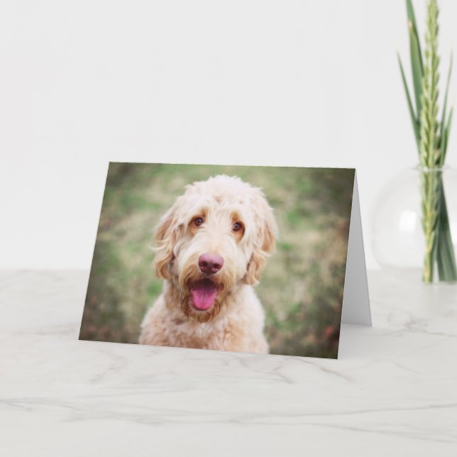 Carte Goldendoodle souriant (Devant)