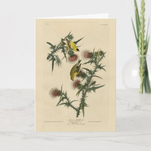 Carte Goldfinch américain d'Audubon's Birds of America