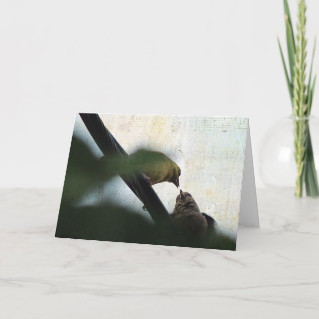 Carte Goldfinch nourrit son bébé, anniversaire (Devant)