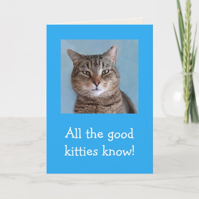 Carte Good Kitties Meowful Anniversaire (Devant)